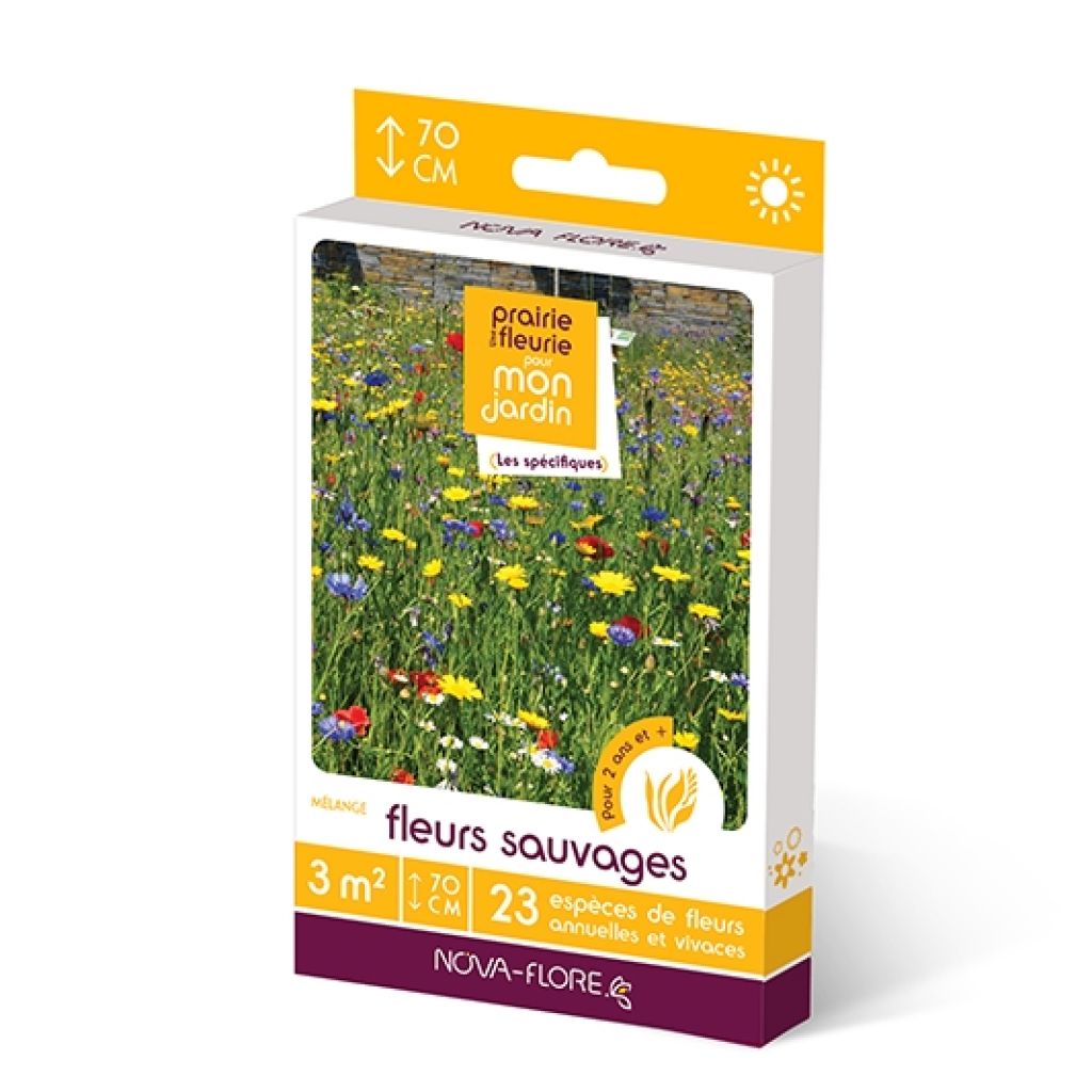 Mezcla de semillas de flores silvestres