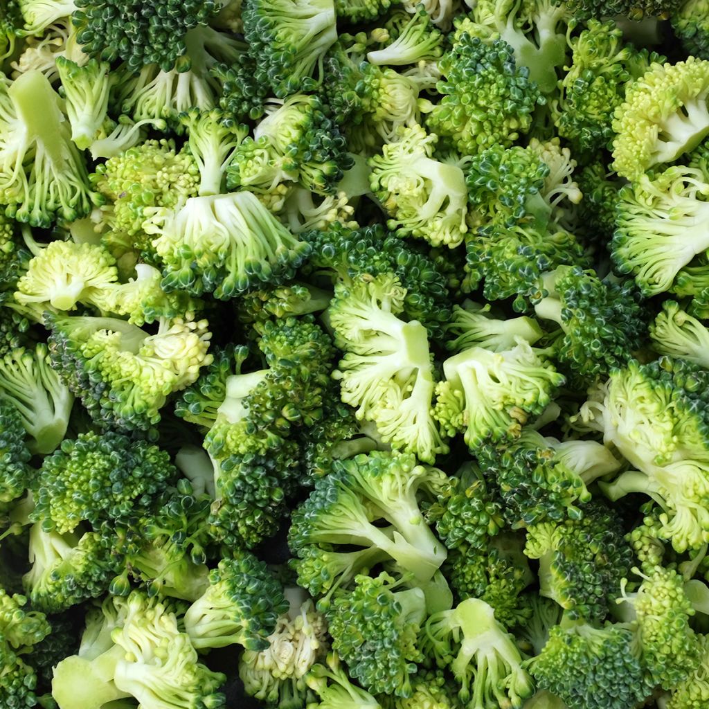 Brócoli Ramoso Calabrese