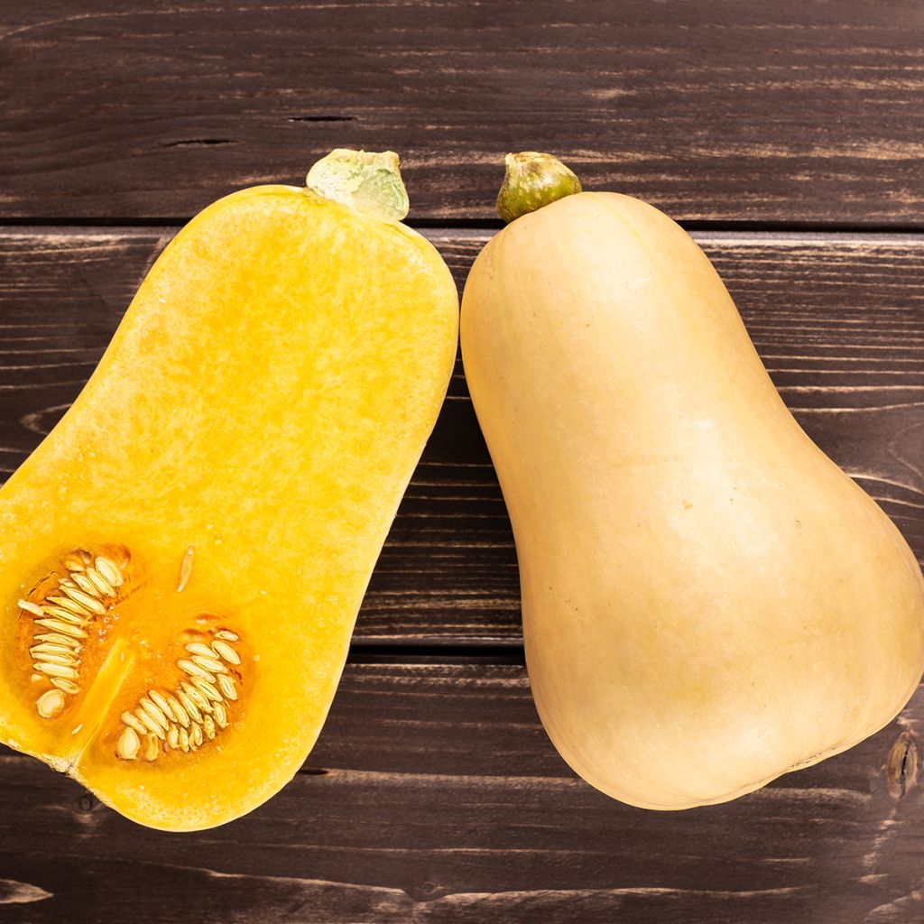 Calabacita amarilla Waltham Butternut