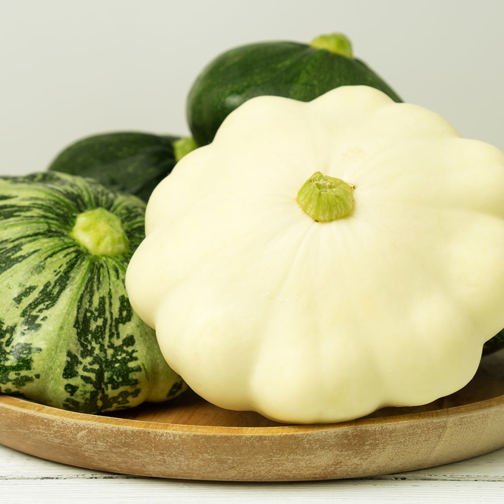 Calabaza bonetera Blanca