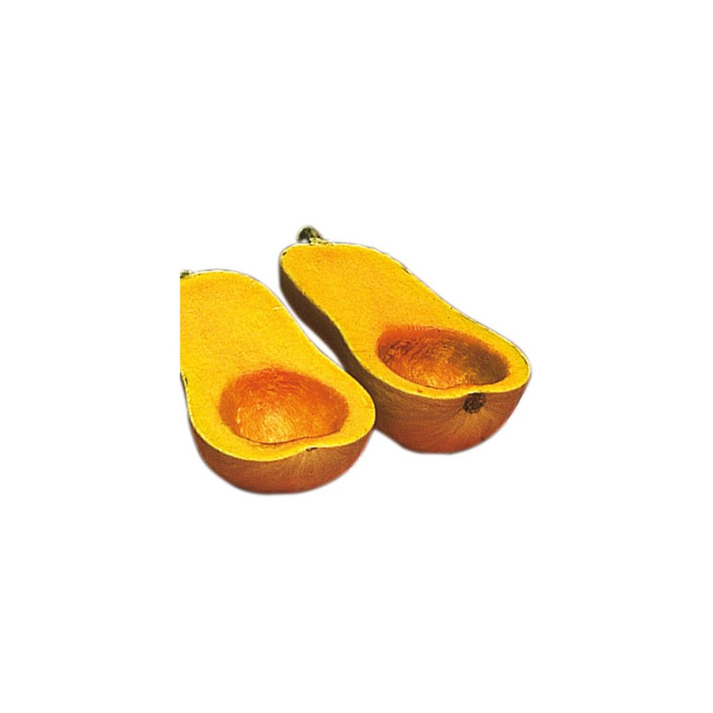 Calabacita amarilla Zénith
