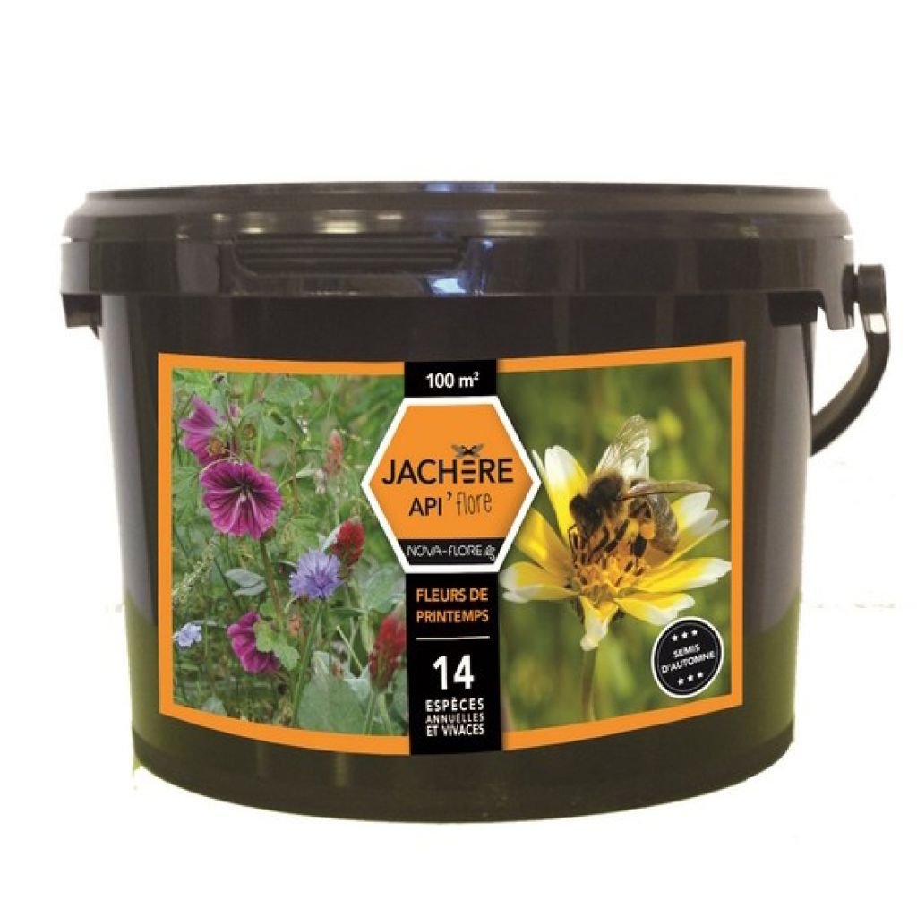Barbecho melífero Flores de primavera