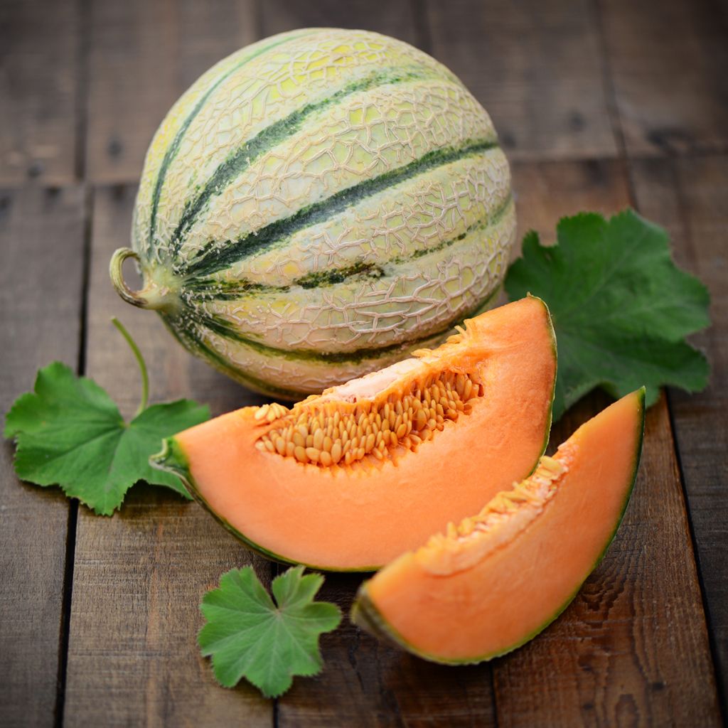 Melón Charentais Bio - Ferme de Sainte Marthe