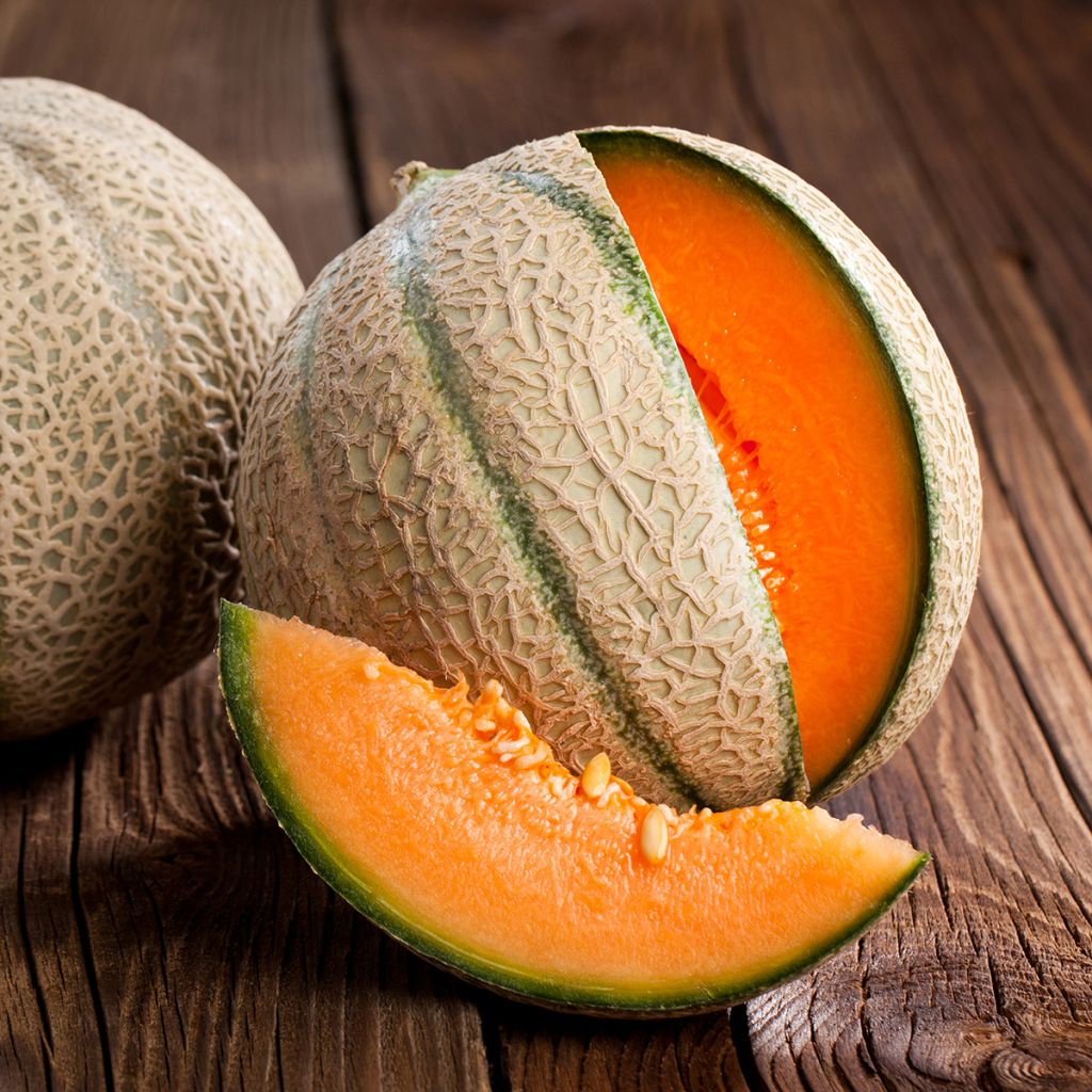 Melón Charentais