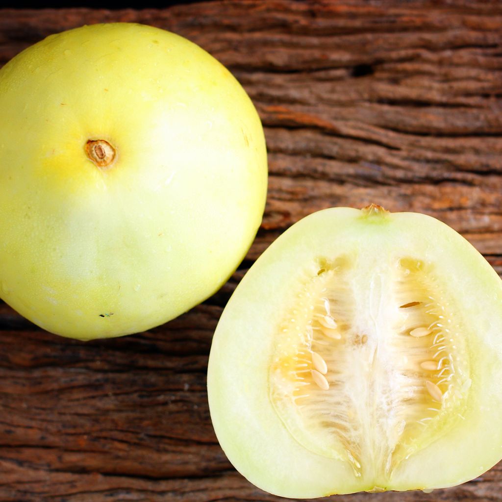 Melón Honey Dew