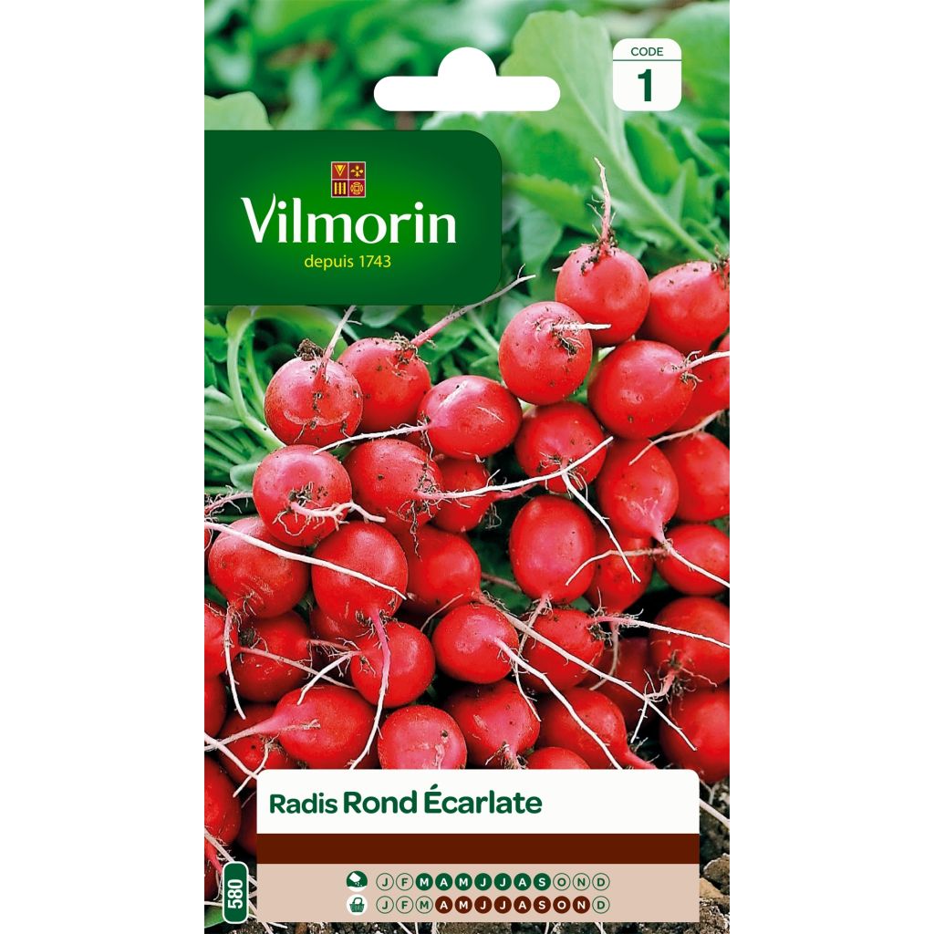 Rábano Rond écarlate - Vilmorin