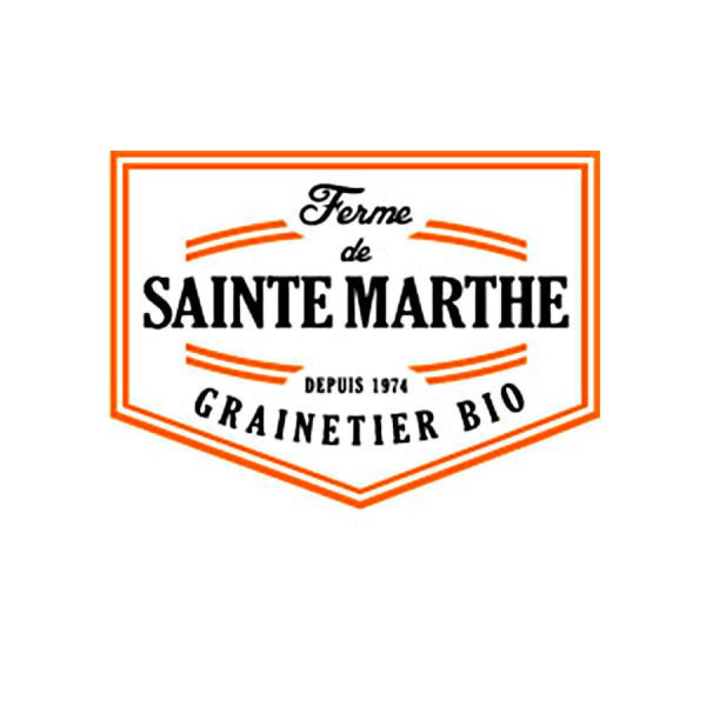 Tomate Mirabelle blanche Bio - Ferme de Sainte Marthe