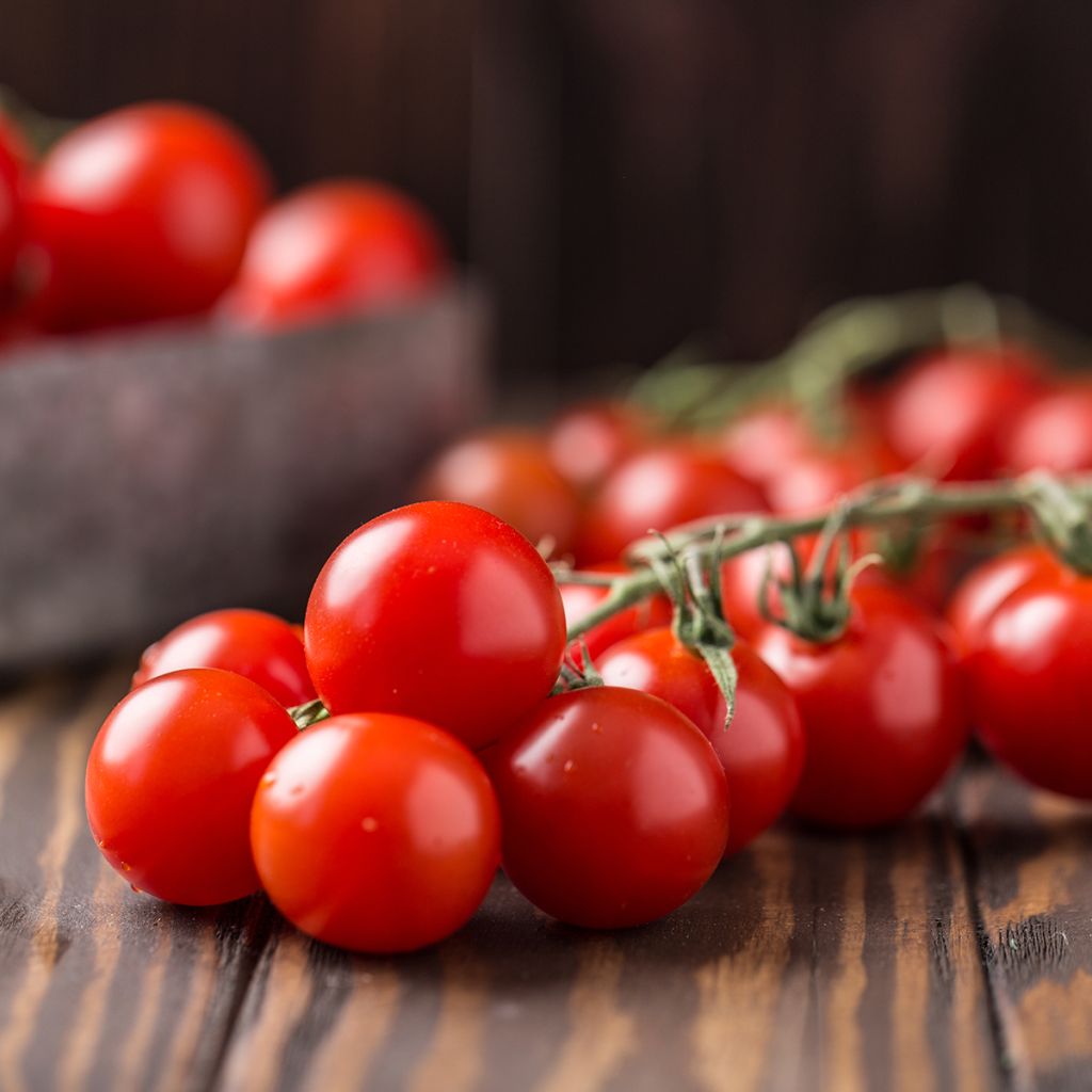 Tomate cherri