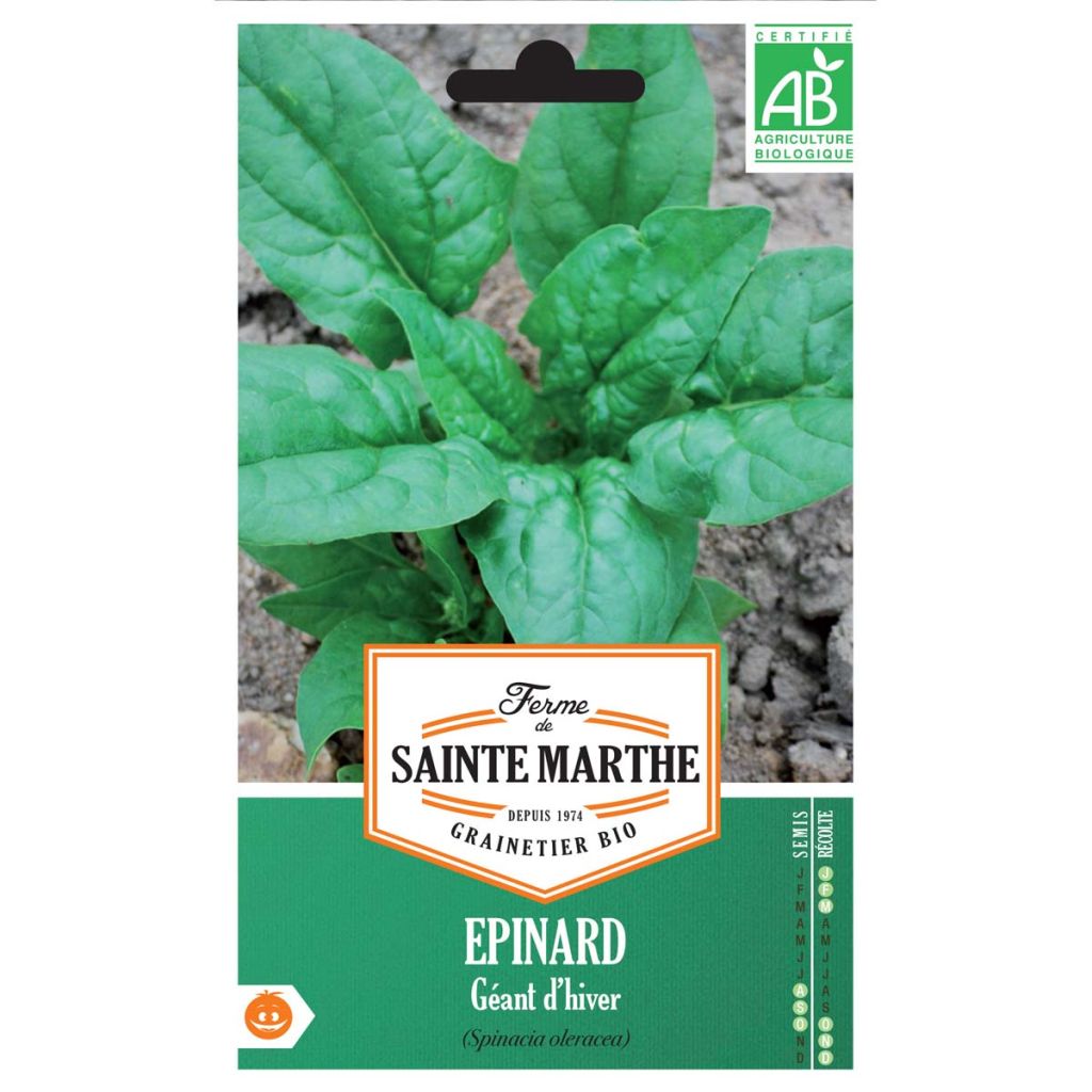Jambú Géant d'Hiver - Ferme de Sainte Marthe