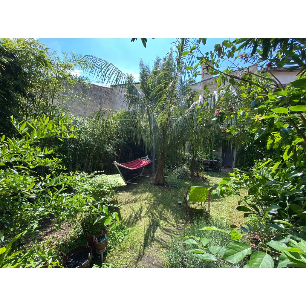 Parajubaea torallyi - Palmera pasopaya