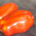 Tomate San Marzano