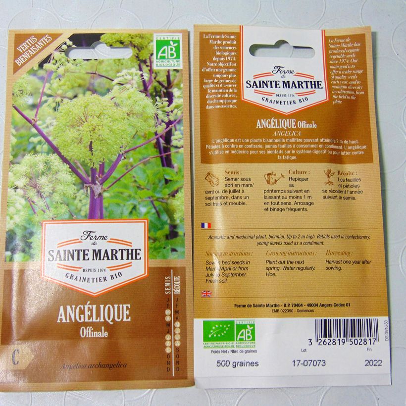 Ejemplo de ejemplar de Angélica Bio - Ferme de Sainte Marthe saco de 400 semillas (2g) tal y como se entrega