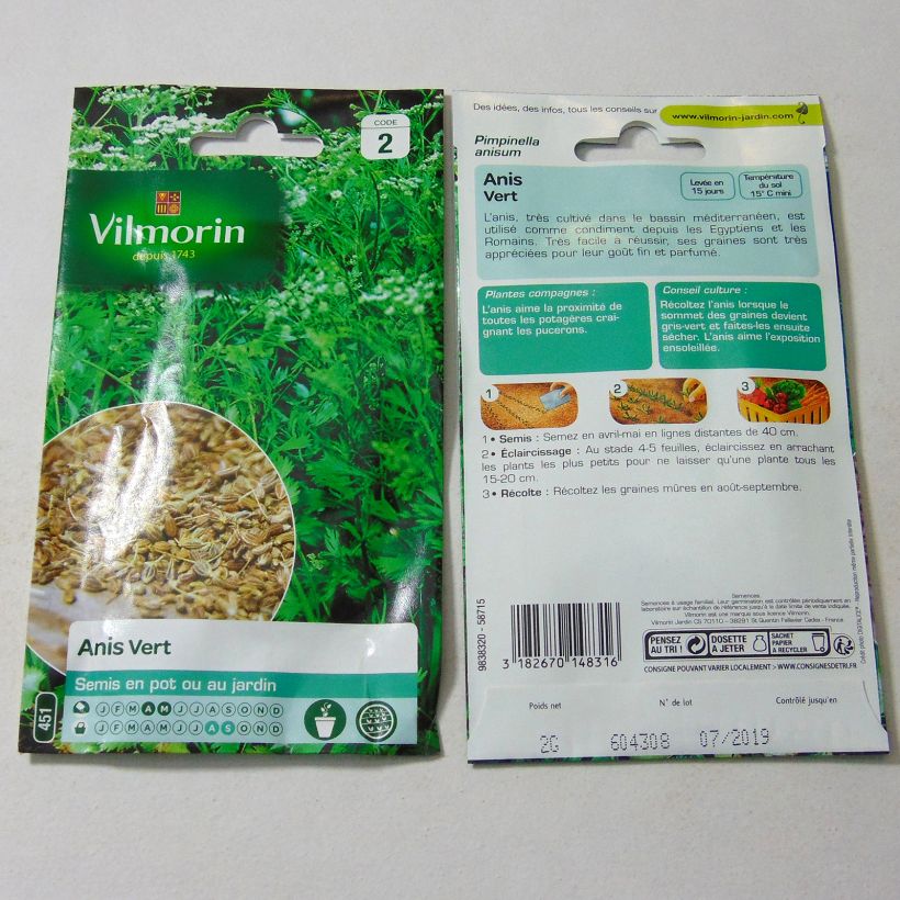 Ejemplo de ejemplar de Anís - Vilmorin - Pimpinella anisum saco de 2 gramos de semillas tal y como se entrega