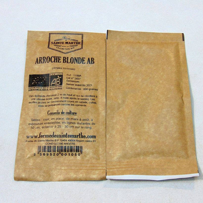 Ejemplo de ejemplar de Armuelle Blonde - Atriplex hortensis saco de 800 semillas (4g) tal y como se entrega