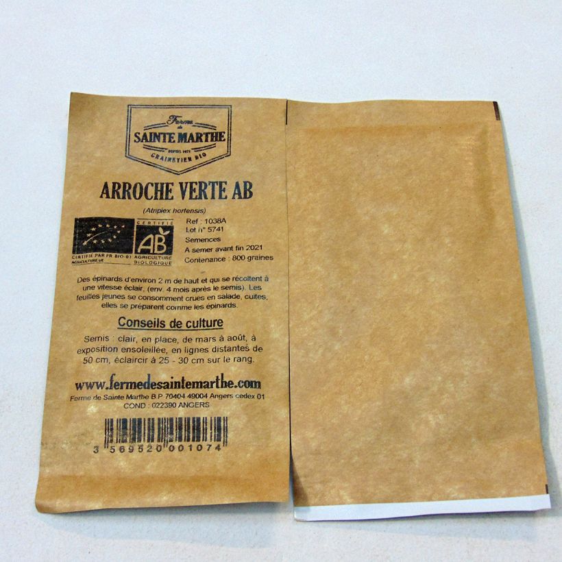 Ejemplo de ejemplar de Armuelle Verte - Atriplex hortensis saco de 800 semillas (4g) tal y como se entrega