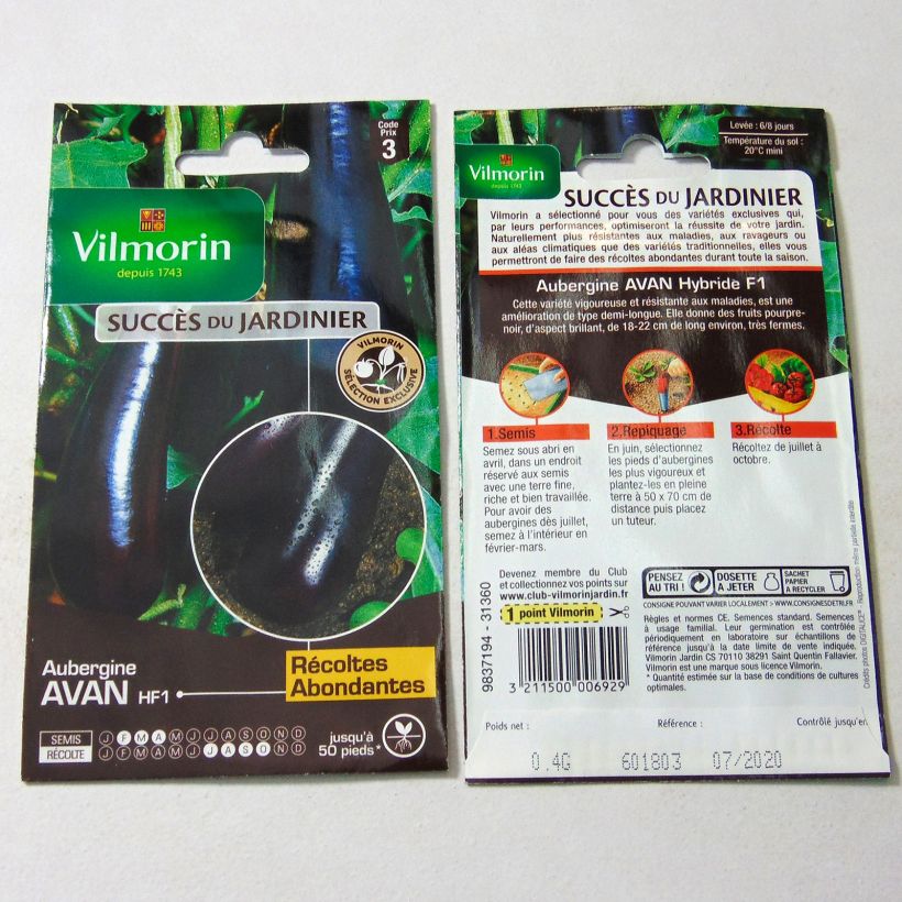 Ejemplo de ejemplar de Berenjena Avan F1 - Vilmorin saco de 50 semillas (0.4g) tal y como se entrega
