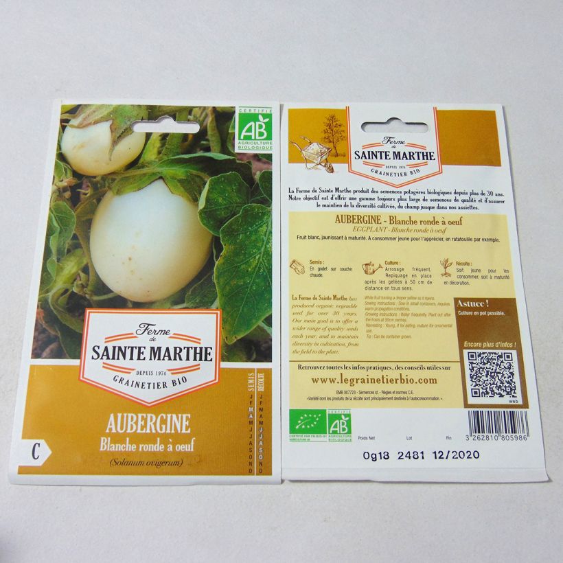 Ejemplo de ejemplar de Berenjena Blanche Ronde A Oeuf saco de 40 semillas (0.18g) tal y como se entrega