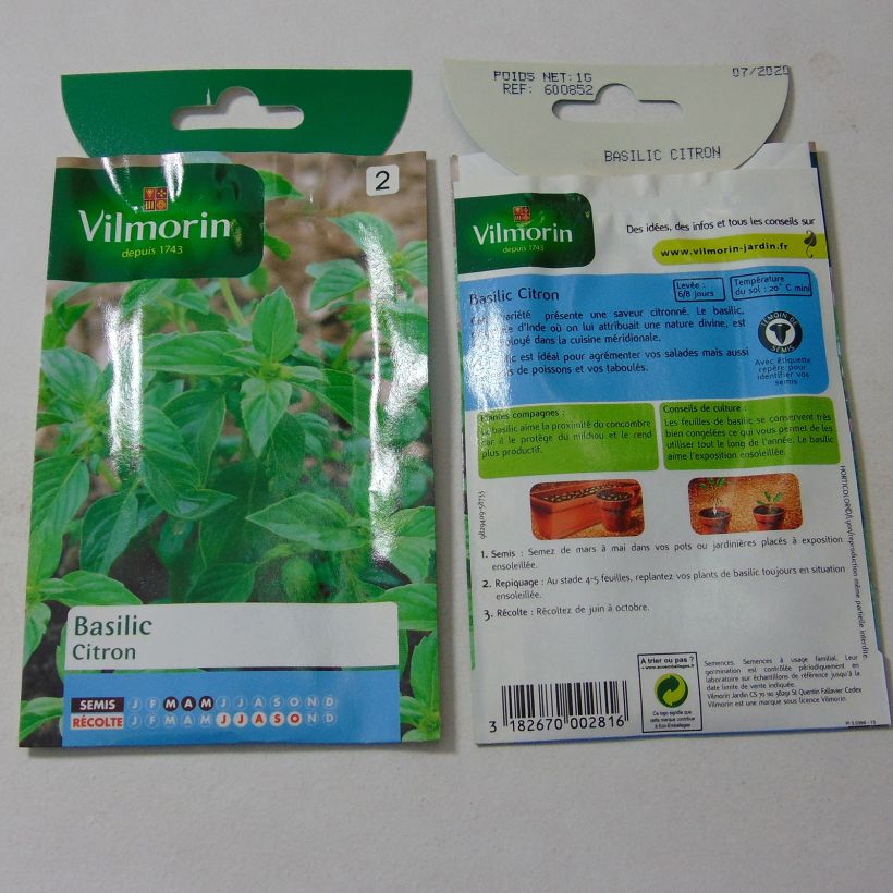 Ejemplo de ejemplar de Albahaca limón saco de 800 semillas (1g) tal y como se entrega