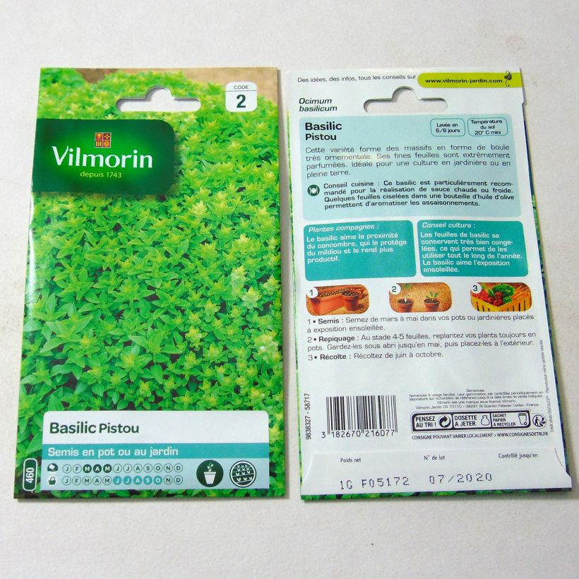 Ejemplo de ejemplar de Albahaca - Vilmorin saco de 800 semillas (1g) tal y como se entrega