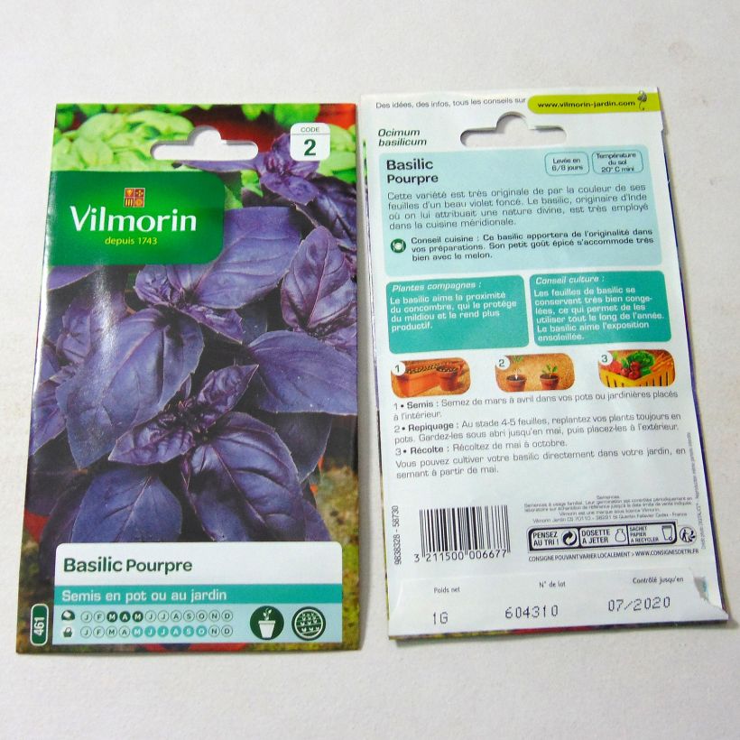 Ejemplo de ejemplar de Albahaca Purpurascens saco de 800 semillas (1g) tal y como se entrega
