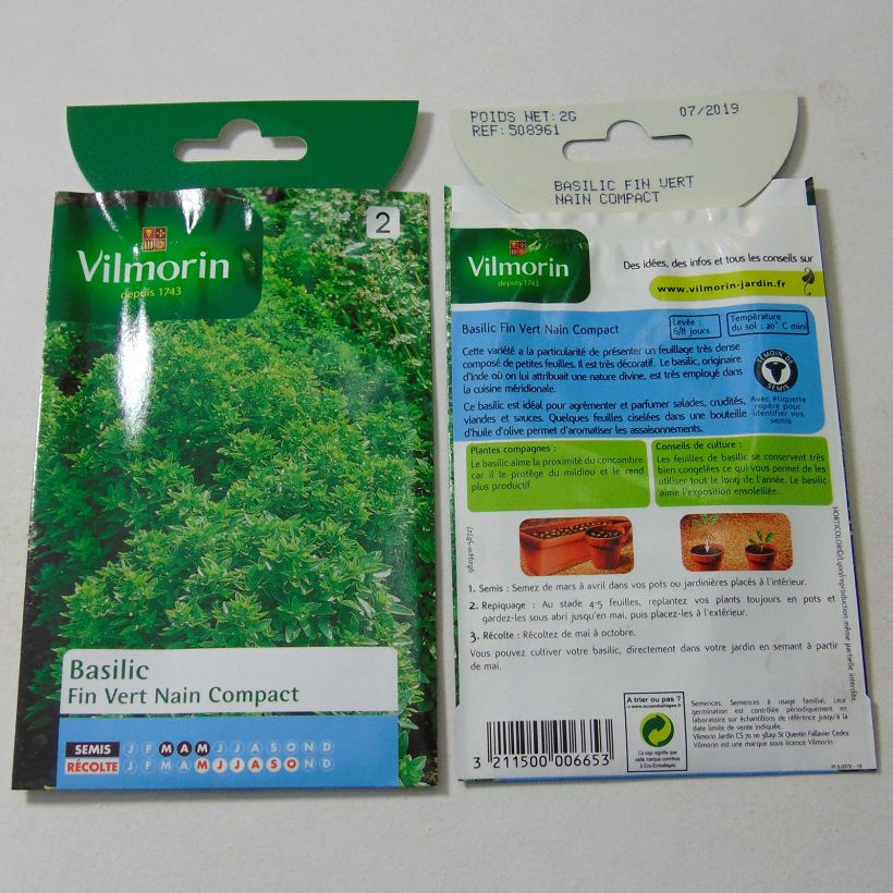 Ejemplo de ejemplar de Albahaca verde enano saco de 1600 semillas (2g) tal y como se entrega