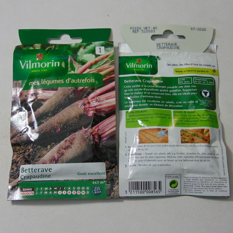 Ejemplo de ejemplar de Remolacha de mesa Crapaudine saco de 200 semillas (4g) tal y como se entrega