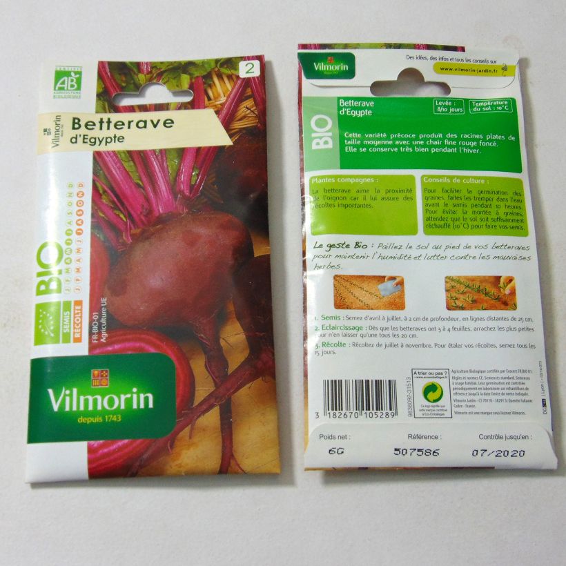 Ejemplo de ejemplar de Remolacha de mesa Egypte Bio - Vilmorin saco de 300 semillas (6g) tal y como se entrega