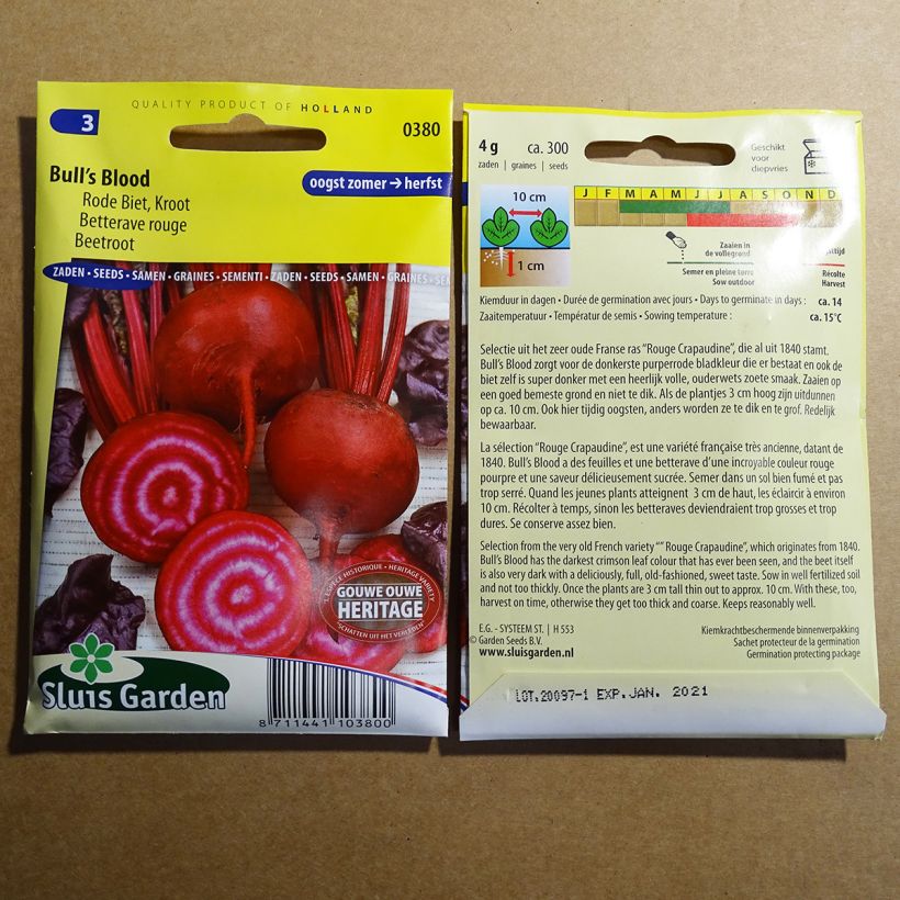 Ejemplo de ejemplar de Remolacha roja Bull’s Blood saco de 200 semillas (5g) tal y como se entrega