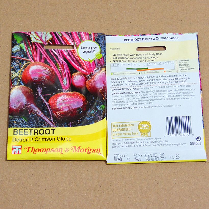 Ejemplo de ejemplar de Remolacha roja Detroit 2 Crimson Globe saco de 300 semillas tal y como se entrega