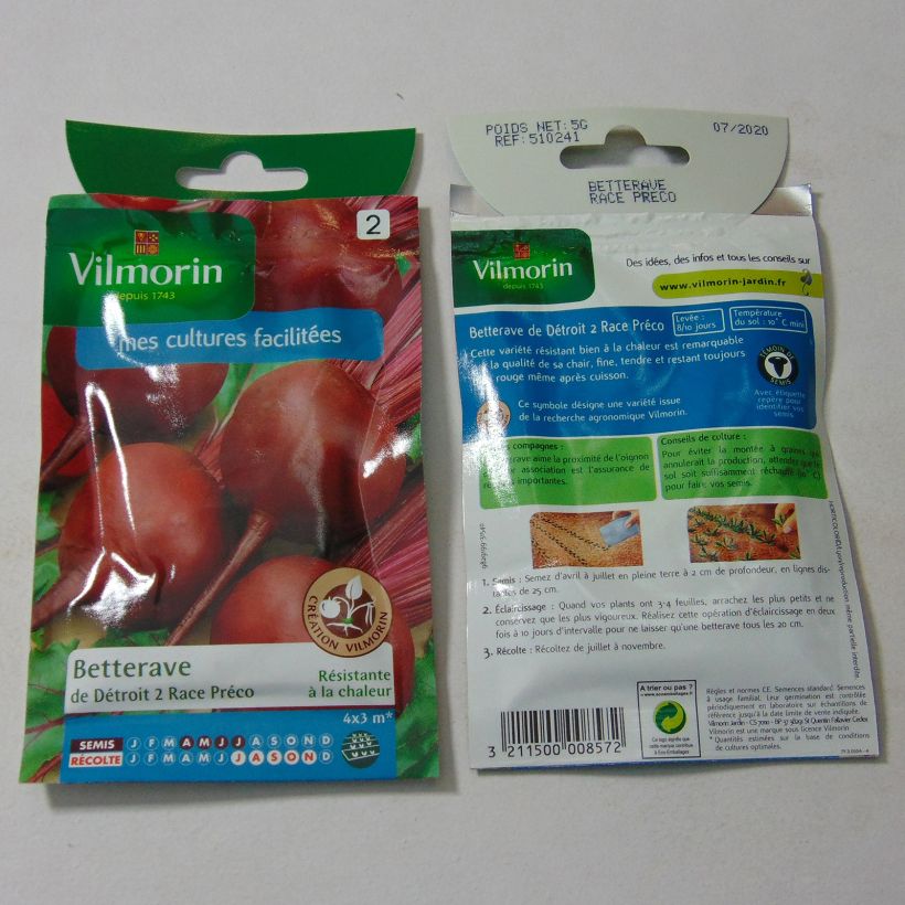 Ejemplo de ejemplar de Remolacha roja Détroit 2 race Préco saco de 250 semillas (5g) tal y como se entrega