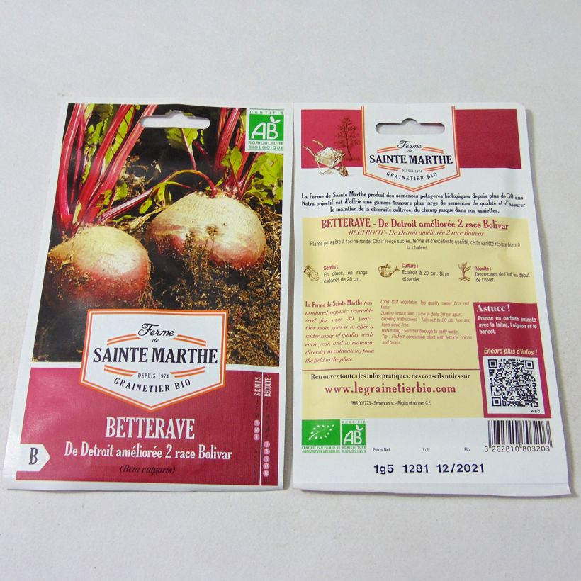 Ejemplo de ejemplar de Remolacha de mesa De Detroit Améliorée 2 race Bolivar saco de 80 semillas (1.5g) tal y como se entrega