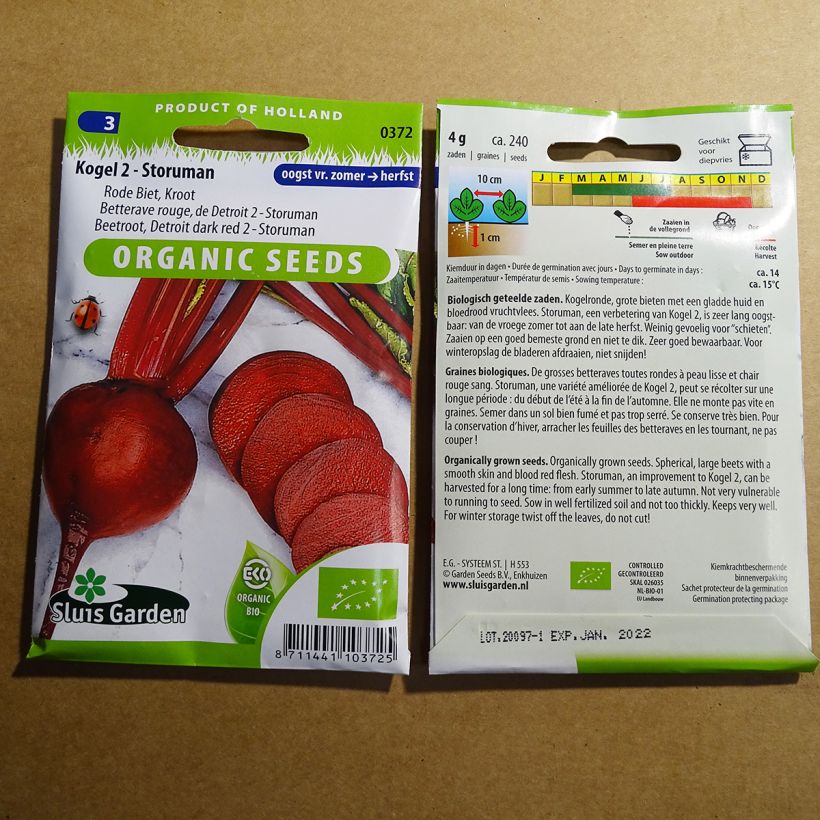 Ejemplo de ejemplar de Remolacha roja rouge de Detroit - Storuman saco de 240 semillas (4g) tal y como se entrega