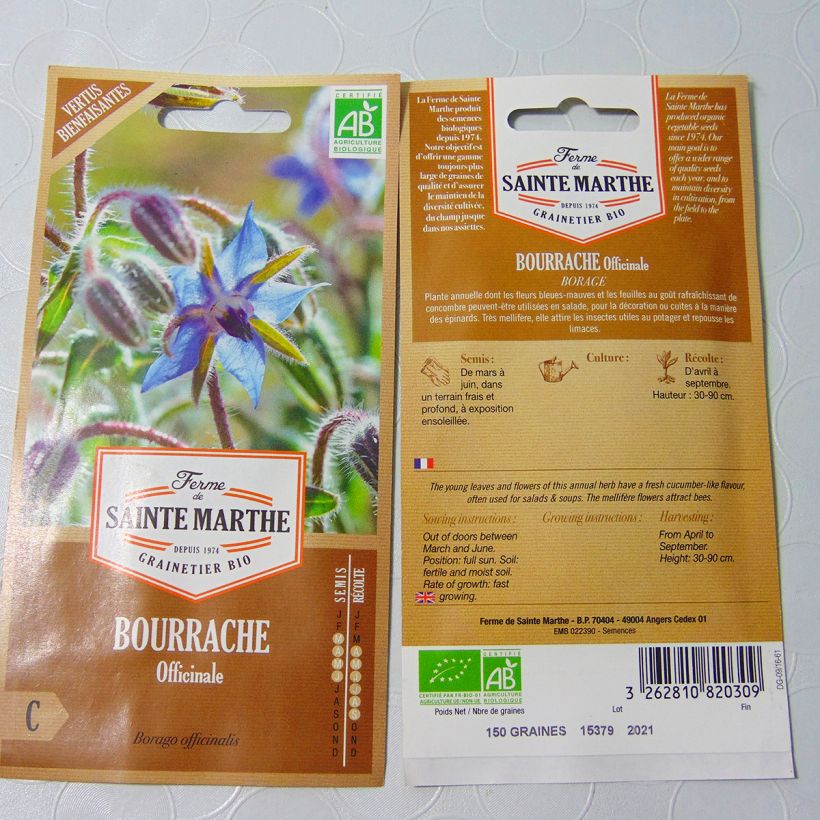 Ejemplo de ejemplar de Borraja Alba - Borago officinalis saco de 50 semillas tal y como se entrega