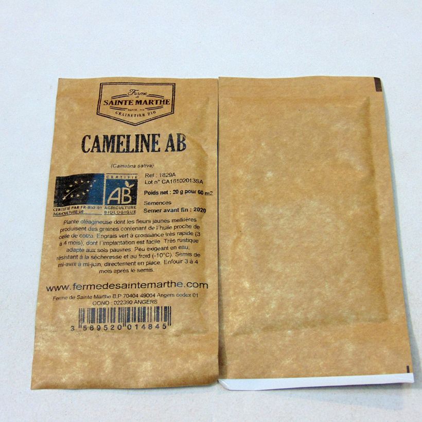 Ejemplo de ejemplar de Sésamo bastardo - Camelina sativa saco de 20 gramos de semillas tal y como se entrega