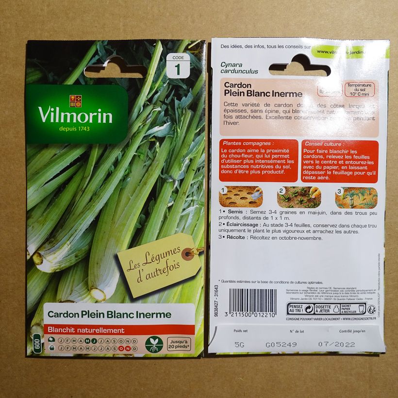Ejemplo de ejemplar de Cardo - Vilmorin saco de 125 semillas (5g) tal y como se entrega