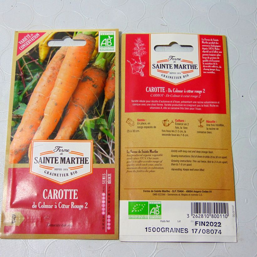 Ejemplo de ejemplar de Zanahoria Colmar à coeur rouge 2 Bio - Ferme de Sainte Marthe saco de 1800 semillas (2g) tal y como se entrega