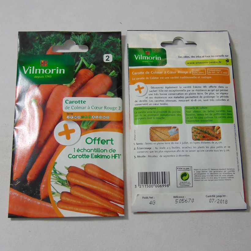 Ejemplo de ejemplar de Zanahoria Colmar à coeur rouge 2 - Vilmorin saco de 2000 semillas (4g) tal y como se entrega