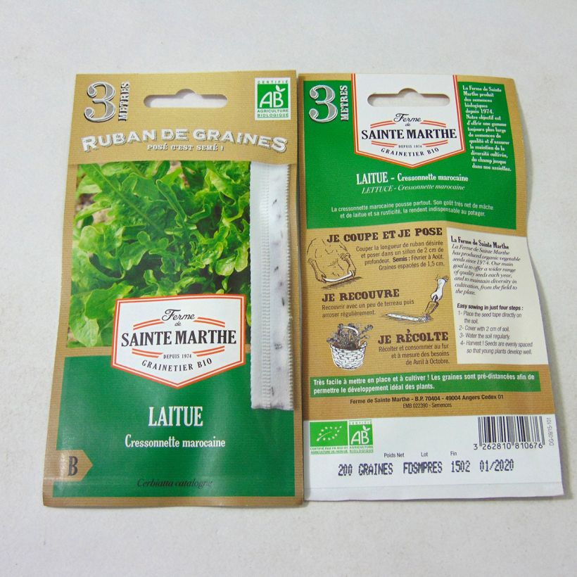 Ejemplo de ejemplar de Lechugas Radichetta (cinta) Bio - Ferme de Sainte Marthe Semillas en cintas tal y como se entrega