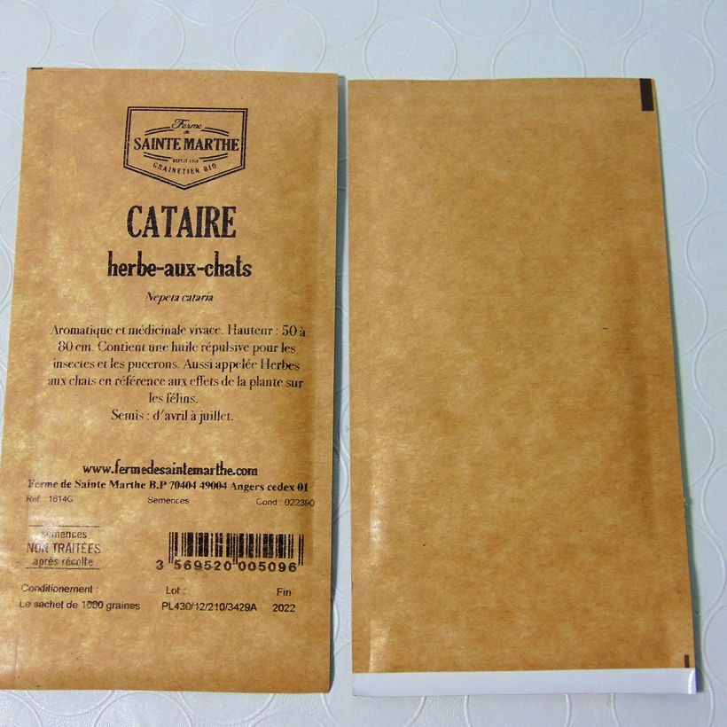 Ejemplo de ejemplar de Menta gatuna Bio - Ferme de Sainte Marthe saco de 1000 semillas tal y como se entrega