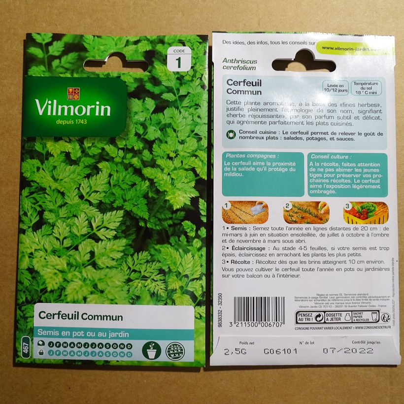 Ejemplo de ejemplar de Perifollo Vilmorin saco de 60 semillas (2g) tal y como se entrega