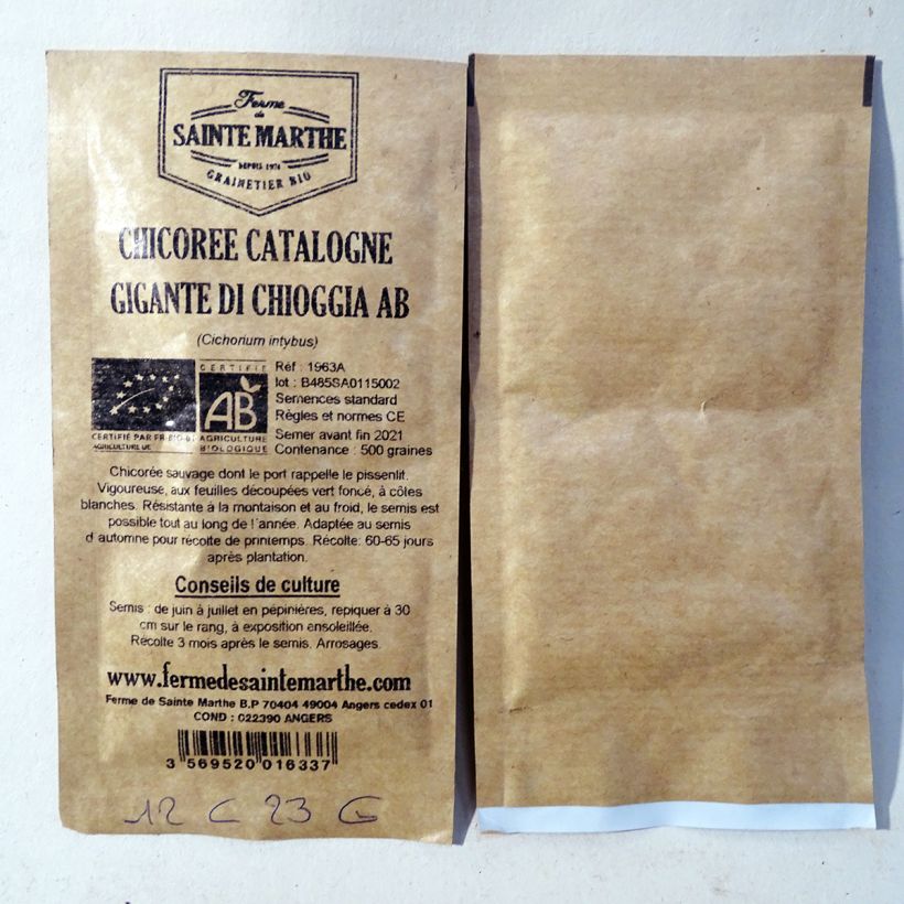 Ejemplo de ejemplar de Escarola Catalogne Gigante di Chioggia saco de 500 semillas tal y como se entrega