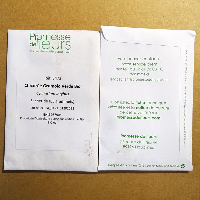 Ejemplo de ejemplar de Escarola Grumolo Verde saco de 300 semillas (0.5g) tal y como se entrega