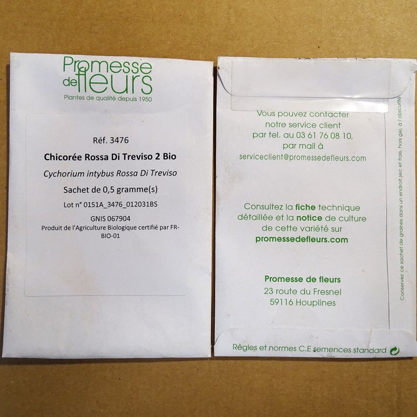 Ejemplo de ejemplar de Escarola Rossa Di Treviso 2 saco de 300 semillas (0.5g) tal y como se entrega