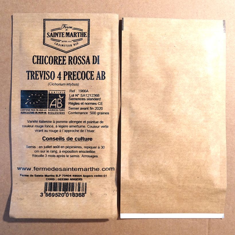 Ejemplo de ejemplar de Escarola Rossa di Treviso 4 saco de 500 semillas tal y como se entrega