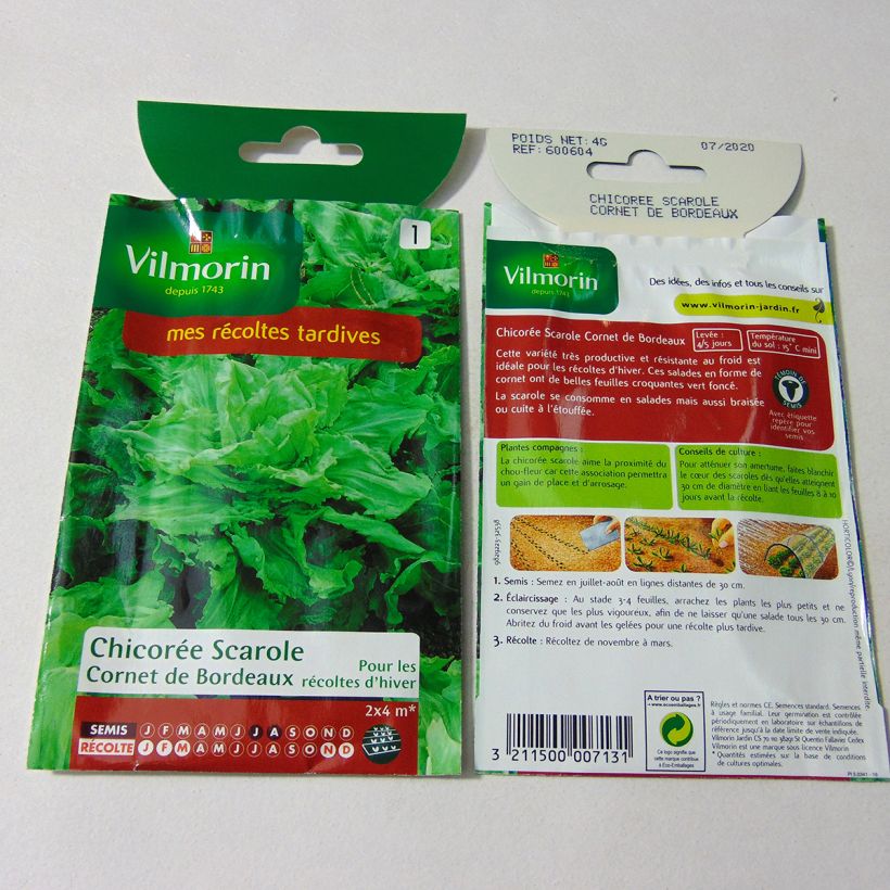 Ejemplo de ejemplar de Escarola Cornet de Bordeaux - Vilmorin saco de 2400 semillas (4g) tal y como se entrega