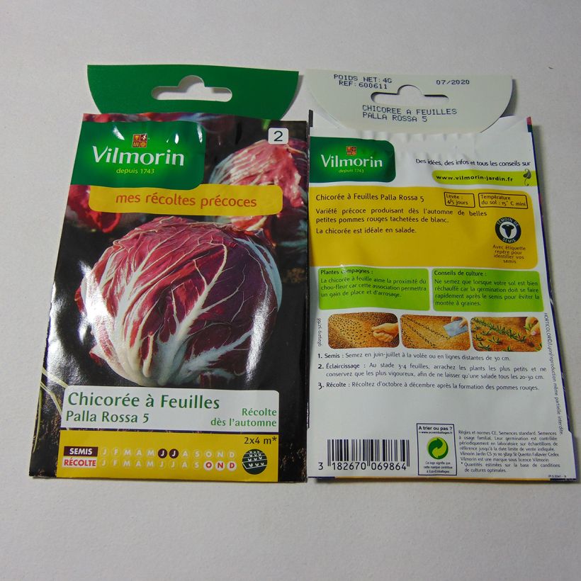 Ejemplo de ejemplar de Escarola Palla Rossa - Vilmorin saco de 2400 semillas (4g) tal y como se entrega