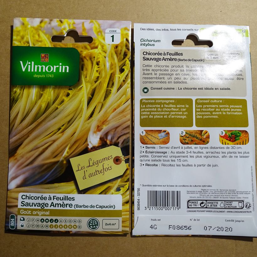 Ejemplo de ejemplar de Escarola à larges feuilles Amère type Barbe de Capucin saco de 2400 semillas (4g) tal y como se entrega