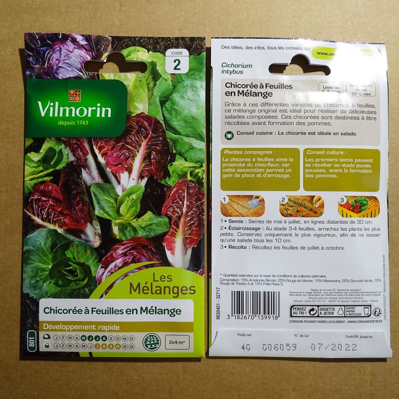 Ejemplo de ejemplar de Escarola Mix - Vilmorin saco de 2400 semillas (4g) tal y como se entrega