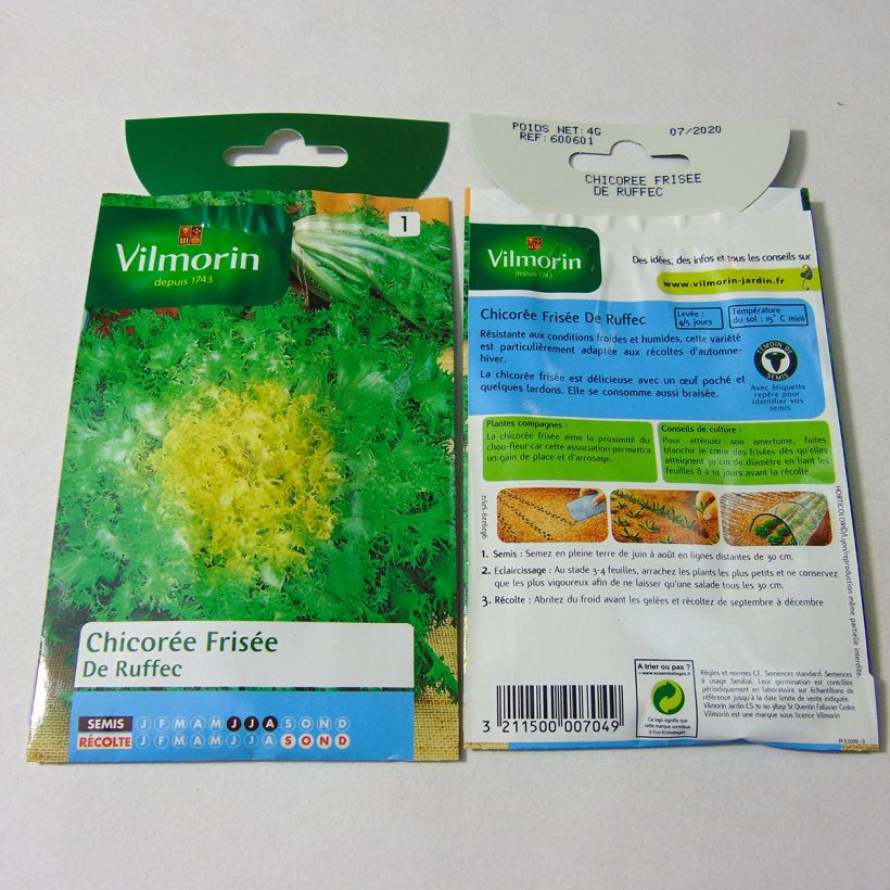 Ejemplo de ejemplar de Achicoria de Bruselas de Ruffec - Vilmorin saco de 2400 semillas (4g) tal y como se entrega
