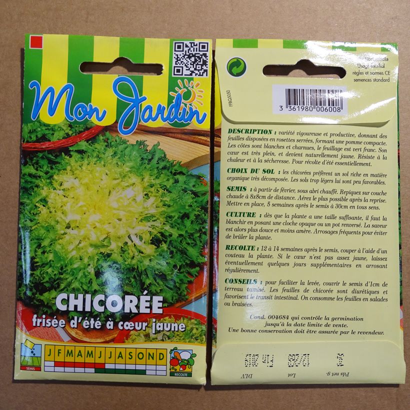 Ejemplo de ejemplar de Achicoria de Bruselas frisée d'été à Cœur Jaune saco de 1800 semillas (3g) tal y como se entrega